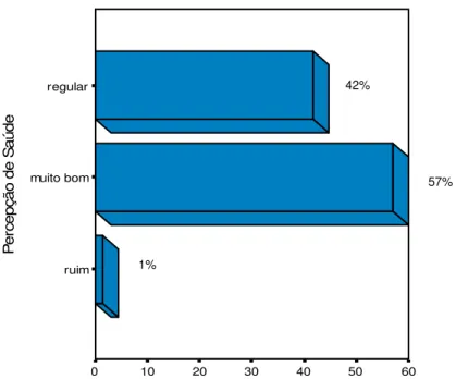 Gráfico  4:  Descrição  da  avaliação  da  percepção  de  saúde  pelos  idosos  de  Barra  Funda (RS), 2006