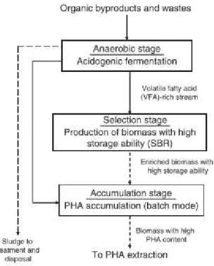 Figure 2.7 Scheme of a usual PHA production process. Adapted from Reis and Albuquerque (2011)