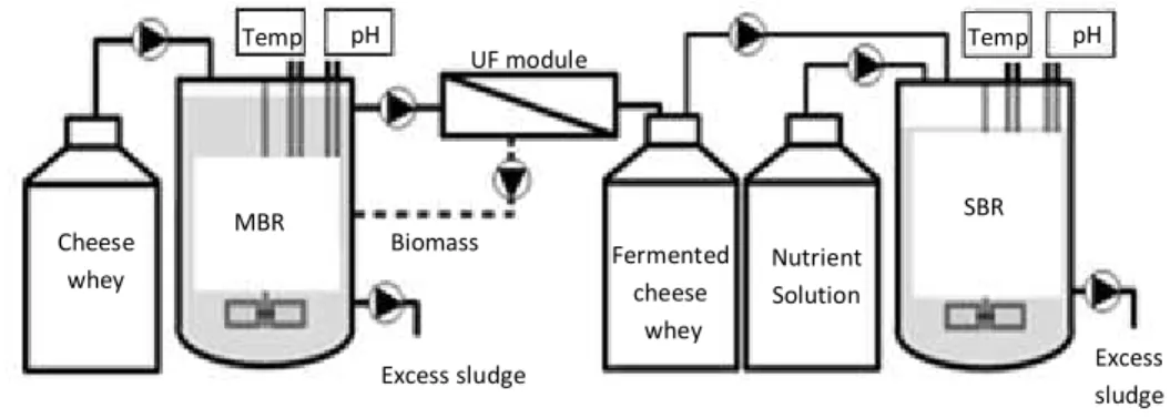 Figure 3.1 Two-stage experimental set up for PHA production using cheese whey as feedstock