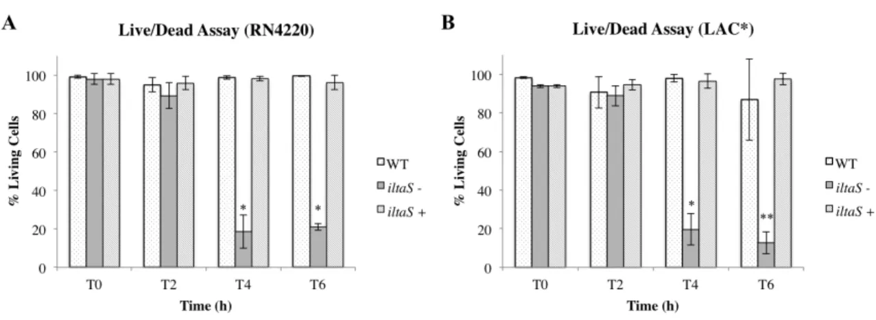 Figure  7  -  Quantification  of  the  live/dead  assay.  In  each  experiment  cells  from  three  different  fields  were  counted