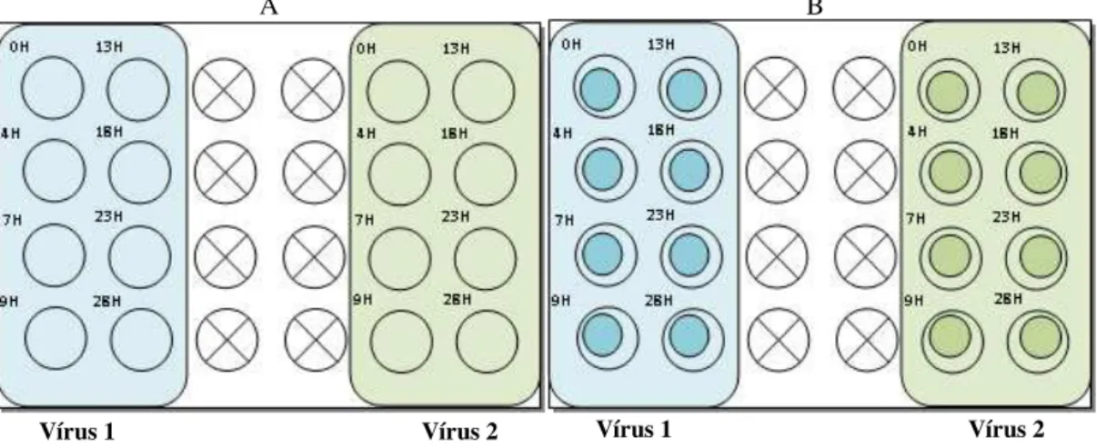 Figure 2.3: Inoculation conditions plate schemes. 