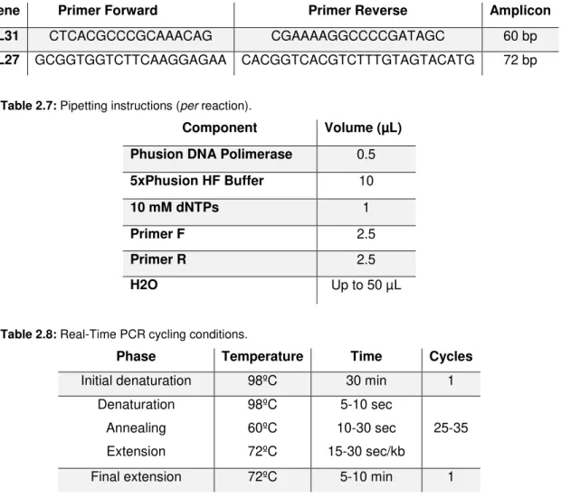 Table 2.6: Location and sequence of the primers used to amplify the desired DNA fragments