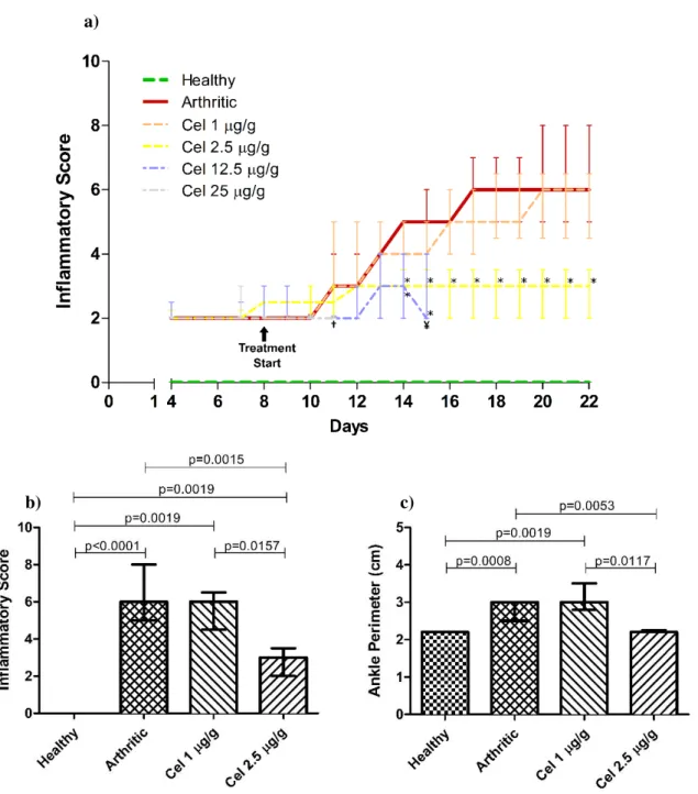 Figure  3.1  –  Graphics  showing  a)  the  evolution  of  the  Inflammatory  Score  in  all  groups  throughout  the  experiment, b) the Inflammatory Score at day 22 and c) the Ankle Perimeter at day 22