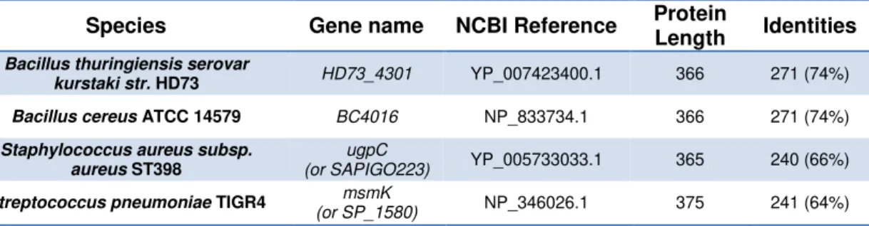 Table  2.4  –   MsmX  homologs  selected.  List  of  MsmX  homologs  selected  for  this  work,  with  respective NCBI Database Reference and identity with MsmX