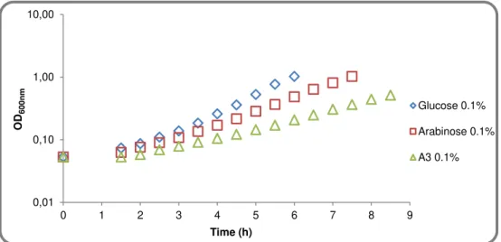 Figure  2.3  -  Growth  of  B.  subtilis  168T +   (wild-type)  in  CSK  medium  using  glucose,  arabinose  and arabinotriose as the sole carbon and energy source