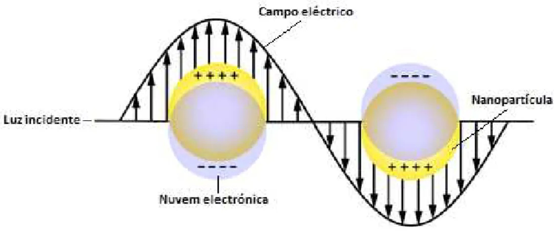 Figura 1.3 Representação esquemática do efeito de LSPR. Indução de um dipolo que oscila em fase com o campo elétrico da  luz incidente