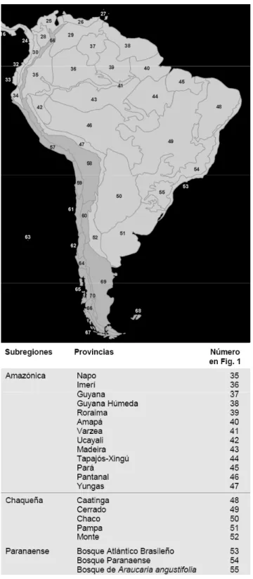 Figura 1: Mapa com classificação biogeográfica da América do Sul proposta por Morrone (2001) (Figura: Morrone 2001).