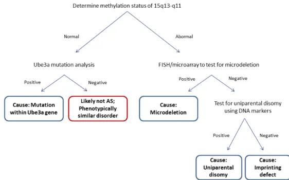 Fig.  1.3 – Representative scheme of Angelman Syndrome molecular diagnosis. Adapted from Margolis et al (2015)