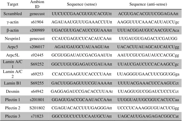 Table 2.1. siRNAs used for protein knockdown. 