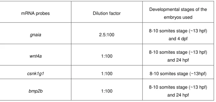 Table 2.3: WISH experiment. List of mRNA probes, dilution factors and developmental stages of the embryos used