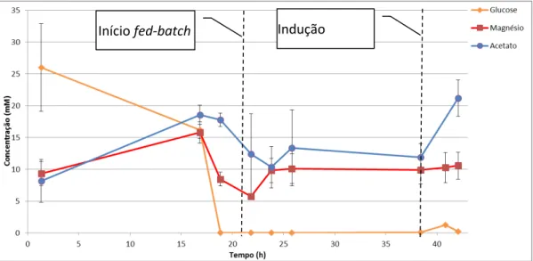 Figura 3.4-  Concentração de Glucose, magnésio e acetato ao longo do tempo da fermentação da SHuffle S2-modificada