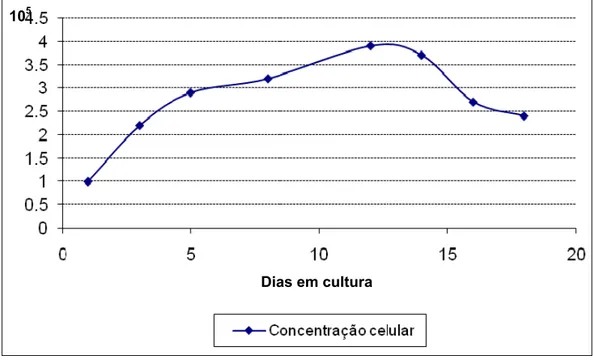 Figura 20 – Curva de crescimento de células isoladas do epitélio olfatório de cão  com 60 dias de vida intra-uterina, demonstrando sua atividade  metabólica basal, em fases distintas do desenvolvimento  