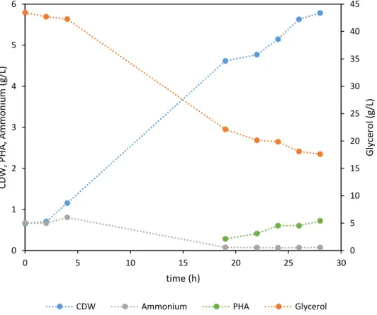 Figure 4.3 - Cultivation profile of the batch bioreactor fermentation of P. chlororaphis DSM  19603 using glycerol by-product as sole carbon source