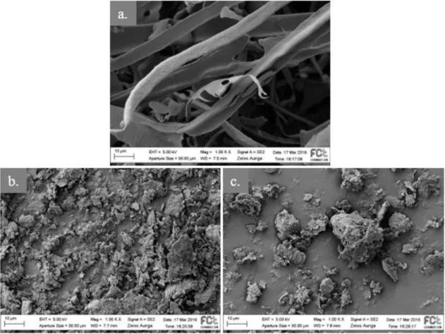 Figure 3.4  –  Scanning electron micrograph of (a.) purified FucoPol (b.) kaolin clay particles and (c.)  kaolin clay particles flocculated with purified FucoPol (1 mg.L -1 ) produced by Enterobacter A47