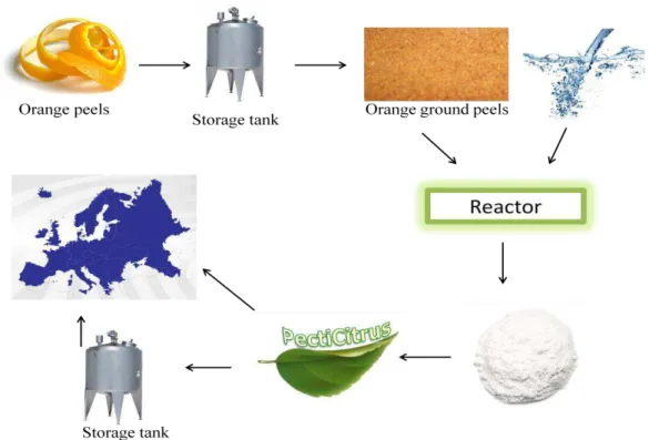 Figure  2.5  -  PectiCitrus general production