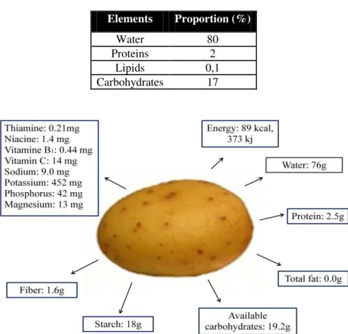 Tabela 3.2 - Potato chemical composition  Elements  Proportion (%) 