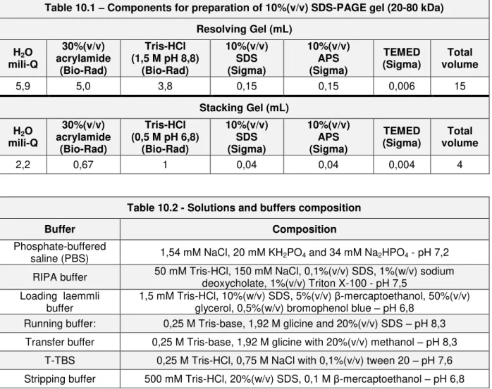 Table 10.1  –  Components for preparation of 10%(v/v) SDS-PAGE gel (20-80 kDa)  Resolving Gel (mL)  H 2 O  mili-Q  30%(v/v)  acrylamide  (Bio-Rad)  Tris-HCl  (1,5 M pH 8,8) (Bio-Rad)  10%(v/v) SDS (Sigma)  10%(v/v) APS (Sigma)  TEMED  (Sigma)  Total  volum
