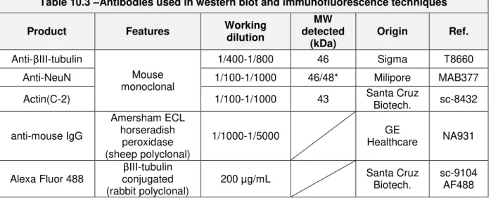 Table 10.3  – Antibodies used in western blot and immunofluorescence techniques 