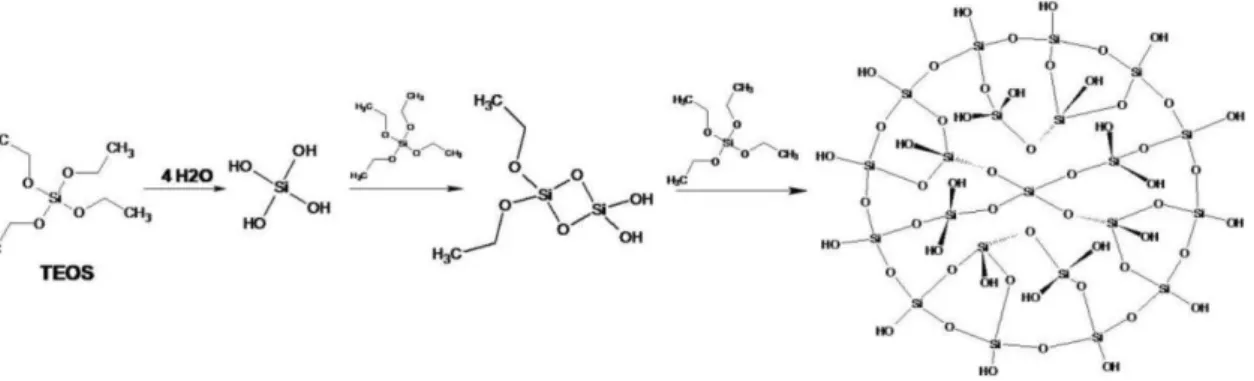 Figure 1.4. Hydrolysis and condensation reaction of TEOS described for Stöber method. 