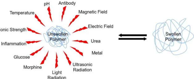 Figure 1.9. Stimuli that can induce polymeric conformational transitions. 