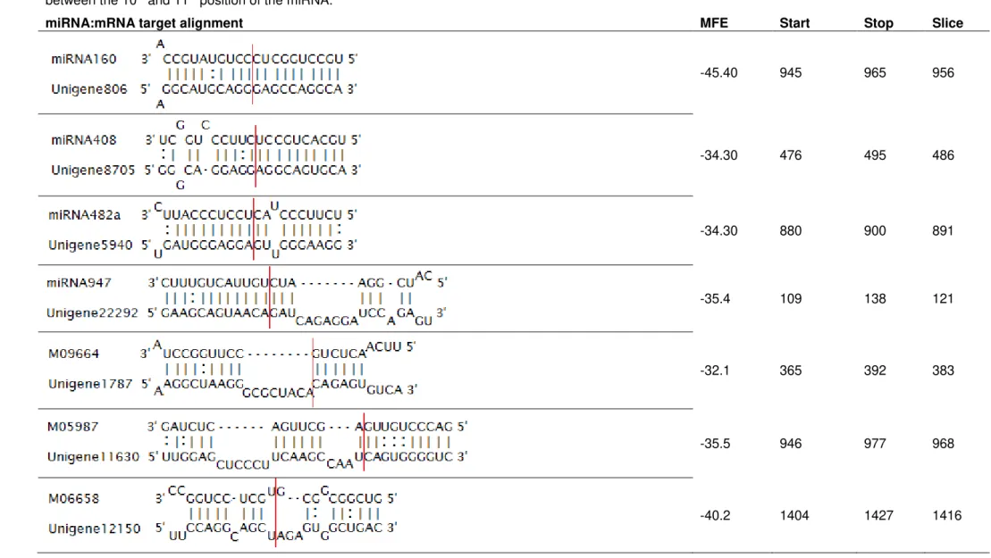 Table 3.II MiRNA and respective predicted unigene target alignment, the MFE and respective unigene nucleotides start, stop and slice sites