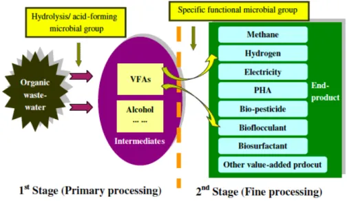 Figure  1.4.  An  example  scheme  of  wastes  valorization.  Intermediates  are  generated,  i.e.:  with  an  anaerobic  acidogenic digestion, and consumed/separated in a second stage for fine chemicals production [Li et al., 2011]