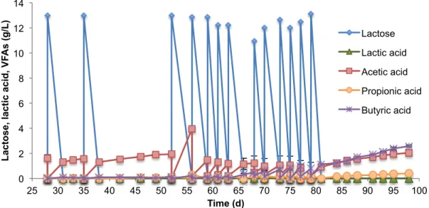 Figure  4.3.  Concentration  profiles  of  main  monitored  compounds  during  experiment  2  with  AC  in  which  was  performed fourteen sequential batches