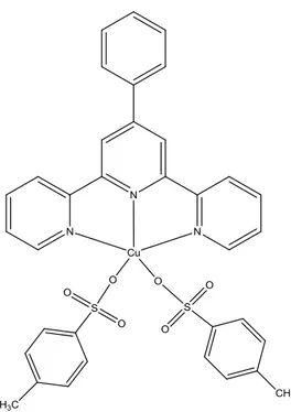 Figura  1.10  -  Estrutura  molecular  do  composto  de  cobre  [Cu  (4-metilbenzenosulfunato)  2  (4`-fenil- (4`-fenil-2,2':6',2''-terpiridina)], (ZM-II)