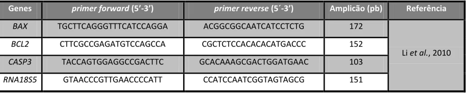 Tabela 2.2 - Sequência dos primers forward e reverse e tamanho do amplicão para cada gene em estudo