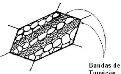 Figura 13 – Desenho esquemático mostrando uma banda de transição num material  deformado (PADILHA, 2005)