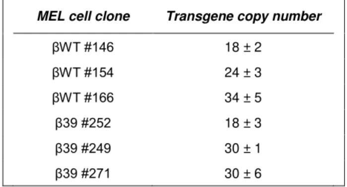 Table III.1  Human β -globin transgene copy number in MEL cell clones selected for study
