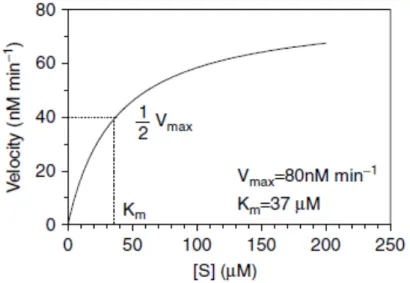 Figure  1.1 – Example of a velocity versus substrate concentration Michaelis-Menten plot for an enzyme  with Vmax =80 nM min −1  and Km = 37 μM (19)