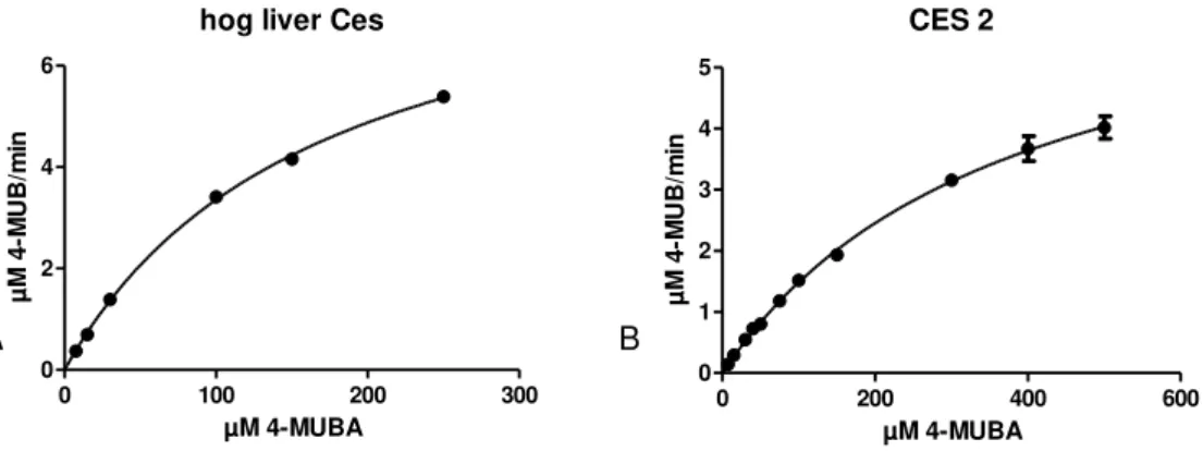 Figure  4.1.1  -  Michaelis-Menten  plots  for  hog  liver  Ces  (A)  and  CES2  (B)  obtained  by  non  linear  regression  using  Prism  GraphPad5