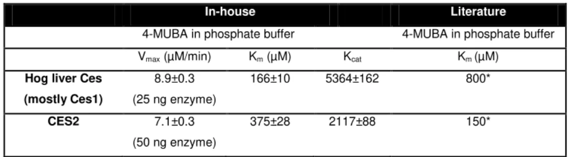 Table  4.1 – Determined and literature values for the kinetic parameters of the hydrolysis of  4-MUBA by  CES2 and Ces1/CES1
