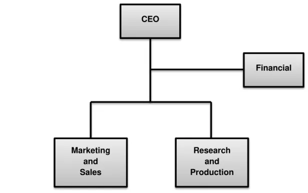 Figure 10.1. SS Organogram.  CEO Financial Marketing      and             Sales Research     and Production      