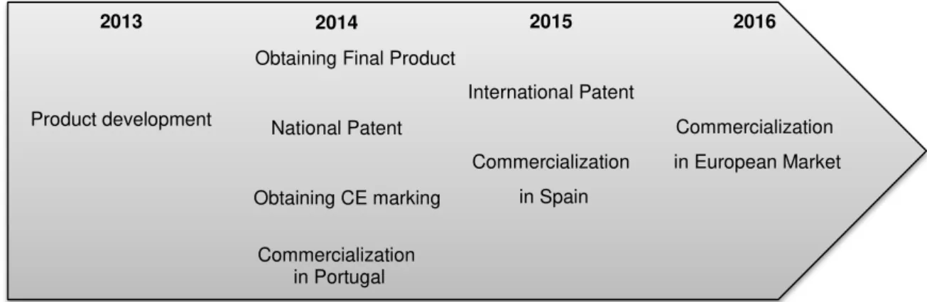Figure 11.1. Activities timeline for the five years of the SS company. 