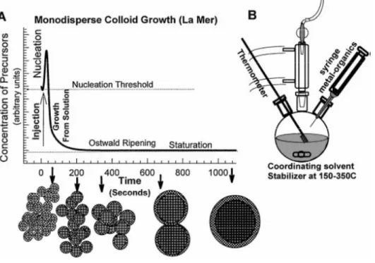 Figure  11 - (A) Stages of monodisperse colloid growth as described by Le Mer. (B) Schematic apparatus  employed in the synthesis of monodisperse NPs in the study of Le Mer nucleation model