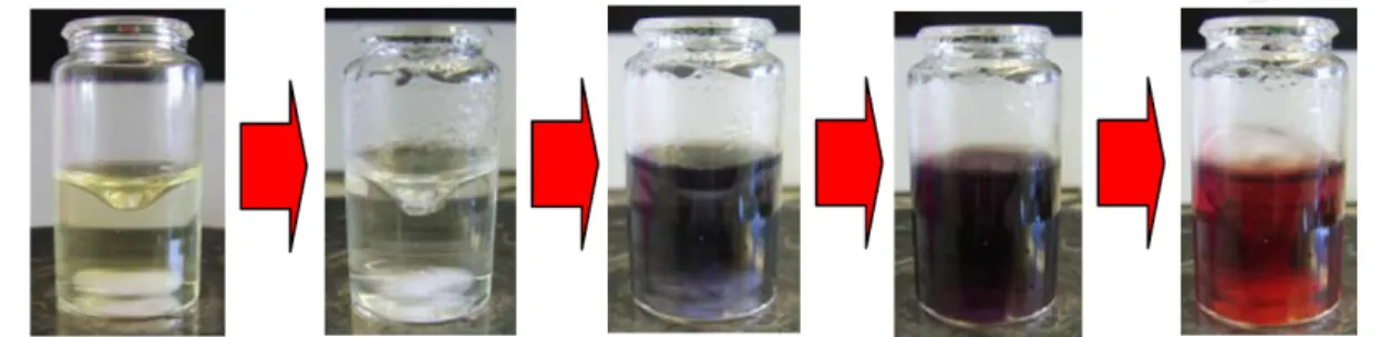 Figure  13 - Colour changes during HAuCl 4  reduction by citrate at boiling temperature.