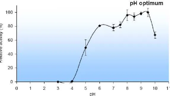 Figure  20 -  TrT  activity  on  15  mM  L-dopa  300  -  400  nkat/mg  (depending  on  the  enzyme  formula  and  preparation), Tris-HCl buffer pH 7.5