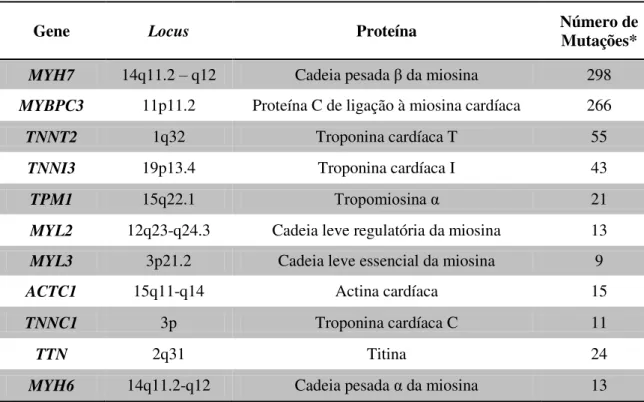 Tabela 1. Genes sarcoméricos e mutações envolvidas na MH descritas até à data. (Adaptado de Richard  et al,  2006; Keller et al, 2002)