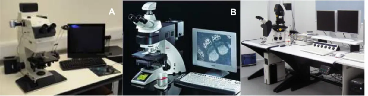 Figure 2.3.5.1 – Leica DMRB Fluorescence Microscope (A), Leica DM600B Fluorescence Microscope (B)  and Leica SP5 Confocal Microscope (C)