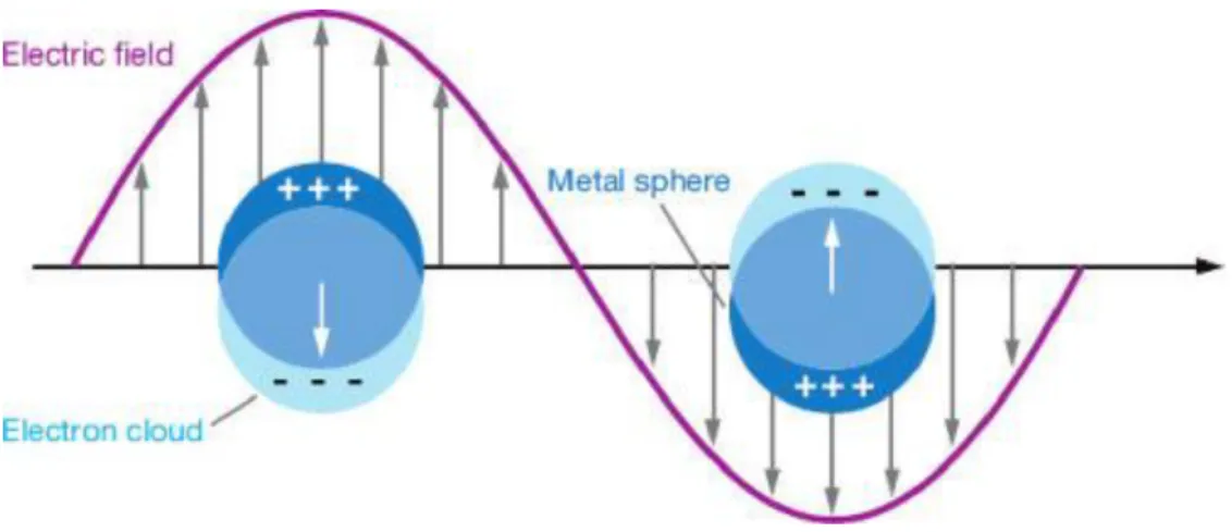 Figure  1.7.  LSPR  of  metal  nanoparticles.  Schematic  representation  of  how  the  interaction  of  the  electromagnetic  waves  with  the  metal  NPs surface  electrons  generates  a  surface  plasmon  resonance  [64]