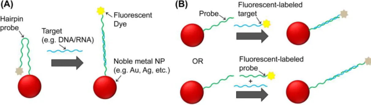 Figure  1.10.  Different  approaches  for  fluorescent-based  noble  metal  NPs  biosensing