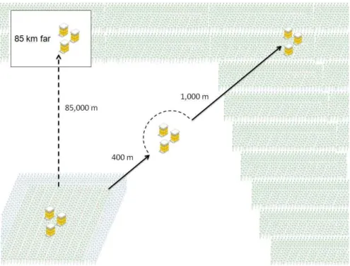 Figure  2.  Test  field  of  GE  eucalypts  and  surrounding  areas.  The  1.3-ha  test  field  of  GE  eucalypt  is  represented  in  the  bottom-left  of  the  figure