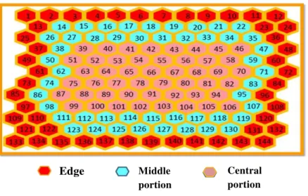 Figure  4.  Subsamples  established  in  combs  in  order  to  define  the  synchronicity  of  development  of  immature A