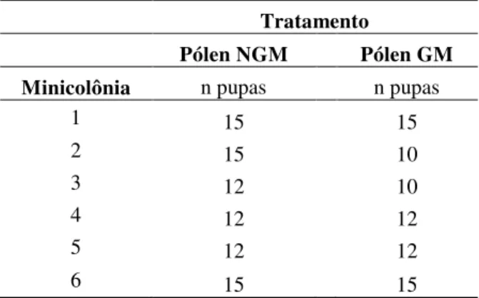Tabela  1  Quantidade  de  pupas  com  pigmentação  ocular  de  operárias  de  Scaptotrigona  bipunctata  coletadas/ minicolônia para realização das análises morfométricas e obtenção da massa corporal a partir  da administração das dietas com pólen de euca