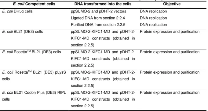 Table 2.1: Summary of DNA transformed into each E. coli strain and respective purpose