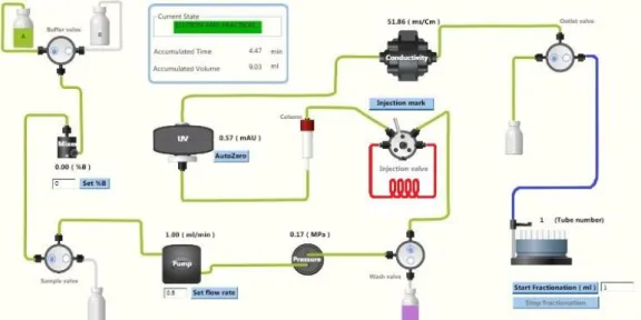 Figure 2.1: Scheme representing the process of gel filtration. The equilibration process is represented in green