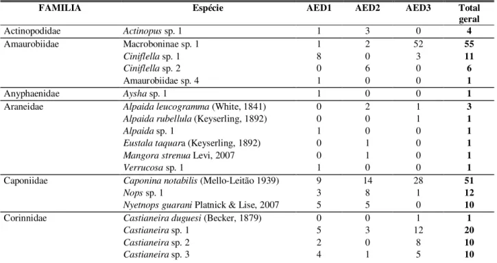 Tabela 1. – Espécies e morfoespécies de aranhas por família, coletadas por armadilhas  de queda nas áreas de estudo