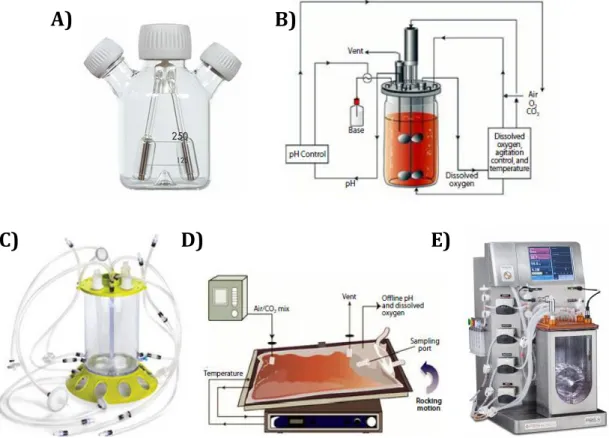 Figure 1.6: Examples of different bioreactor designs used for stem cell bioprocessing